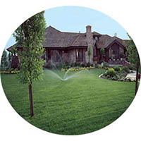 Albert Lea grass sprinkler systems